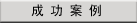 成功案例